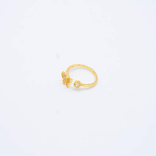 ANILLO