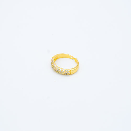 ANILLO