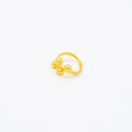 ANILLO