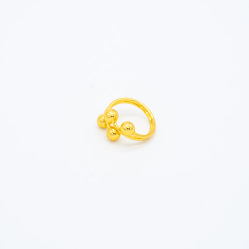 ANILLO