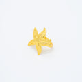 ANILLO