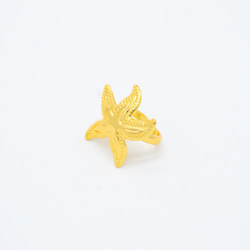 ANILLO