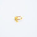 ANILLO
