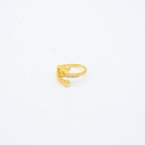 ANILLO