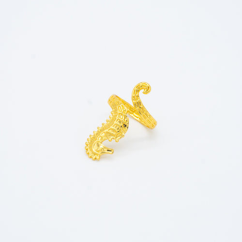 ANILLO