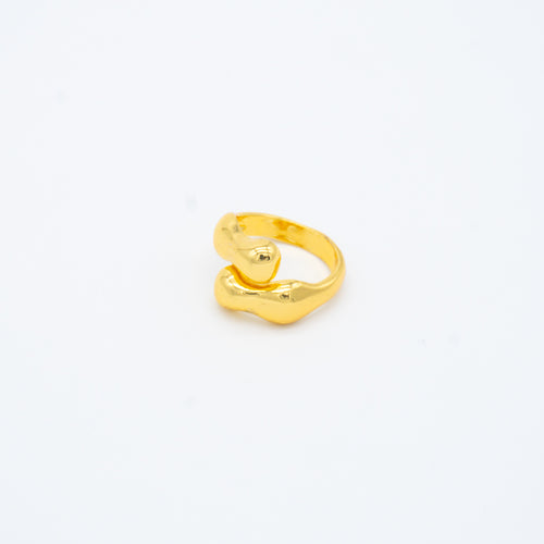ANILLO