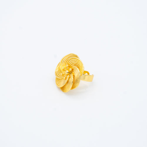 ANILLO