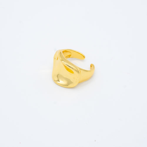 ANILLO