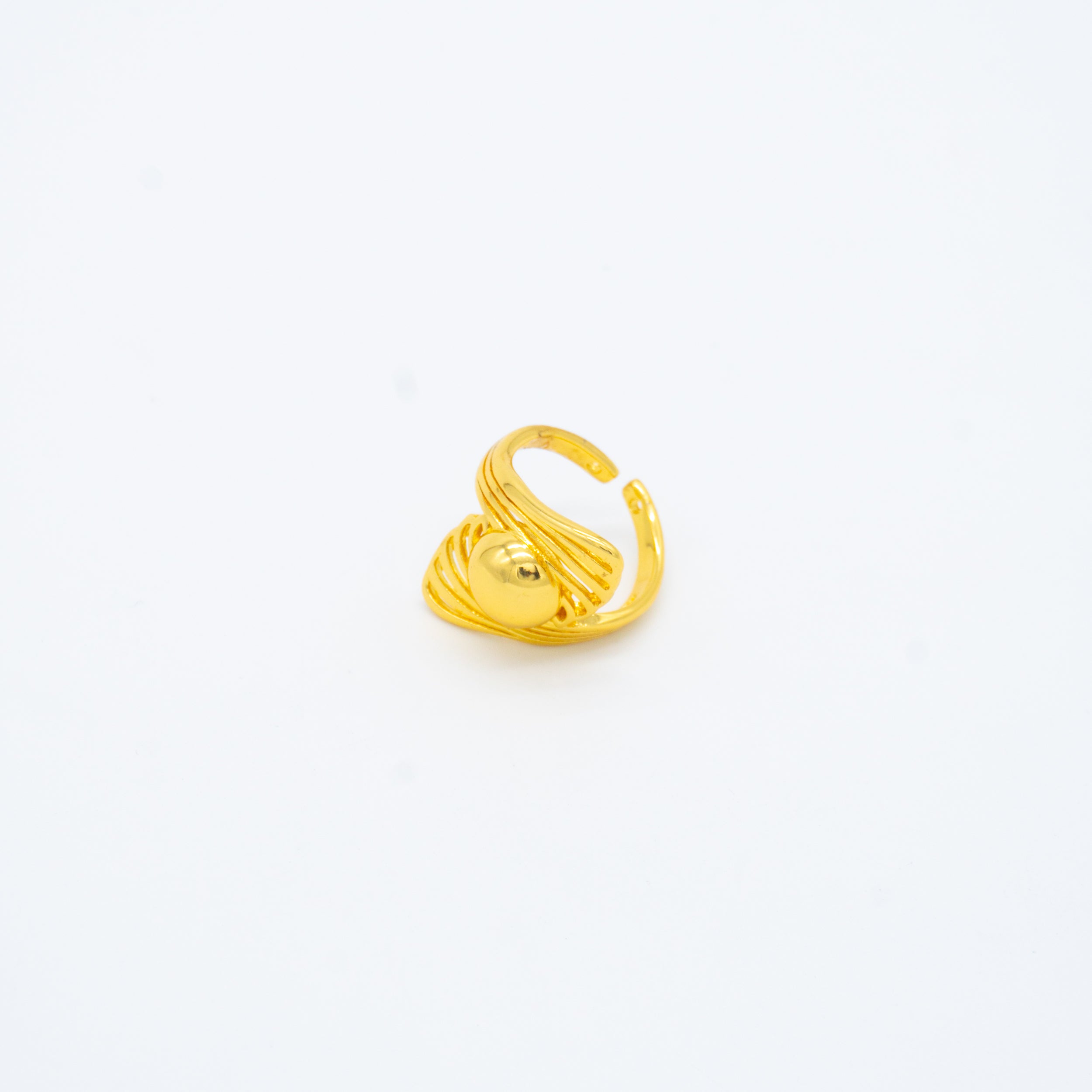 ANILLO