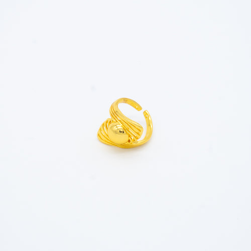 ANILLO