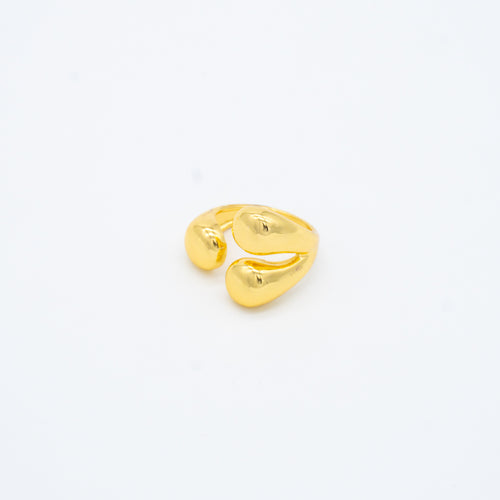 ANILLO