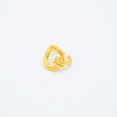 ANILLO