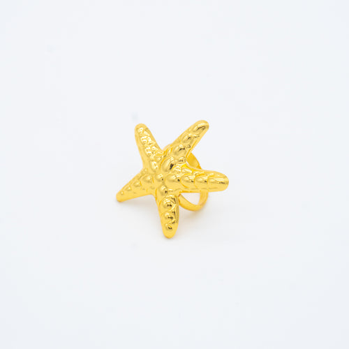 ANILLO