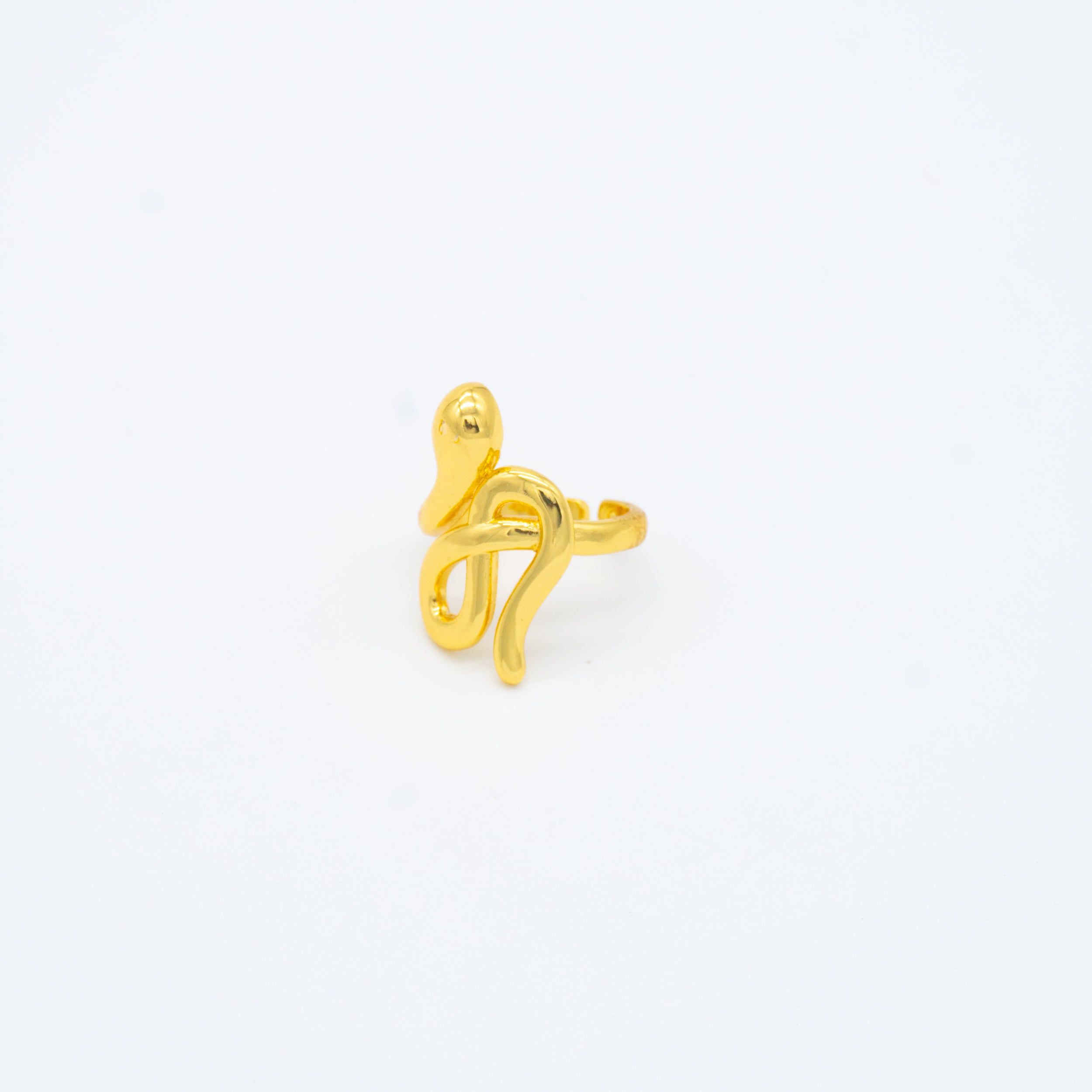 ANILLO