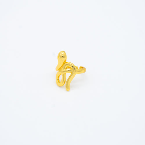 ANILLO