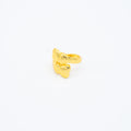 ANILLO