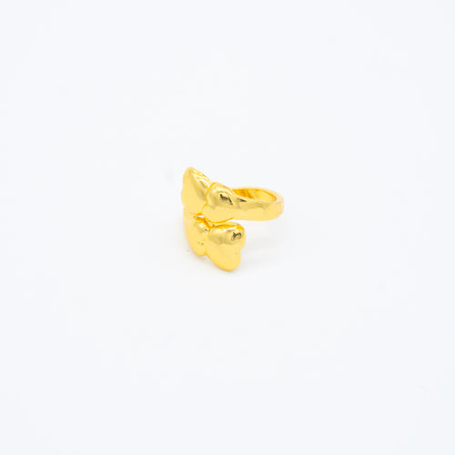 ANILLO
