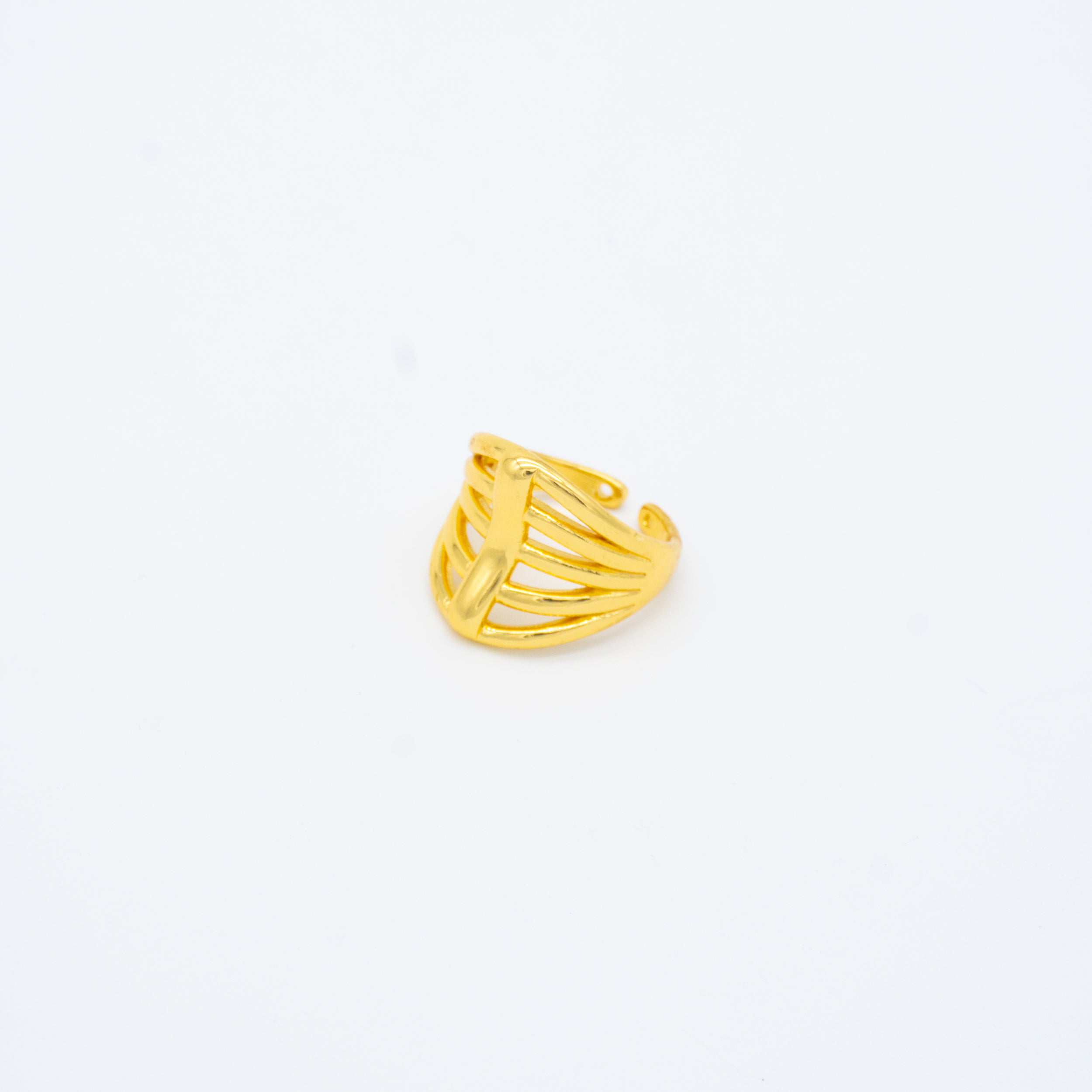 ANILLO