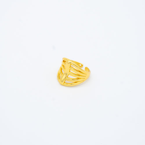 ANILLO