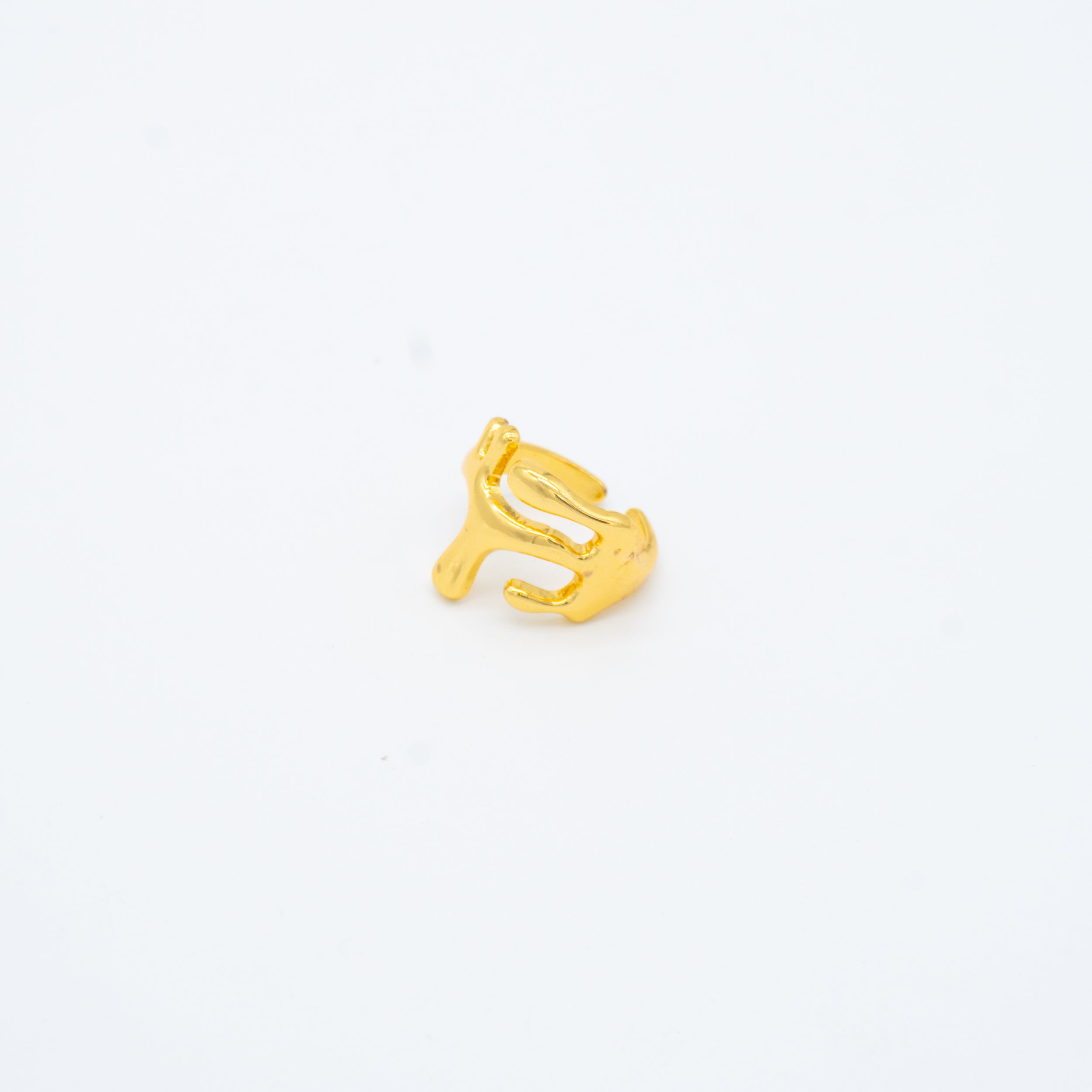 ANILLO