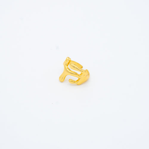 ANILLO