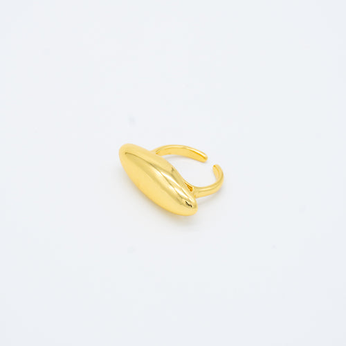 ANILLO
