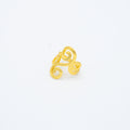 ANILLO