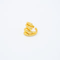 ANILLO