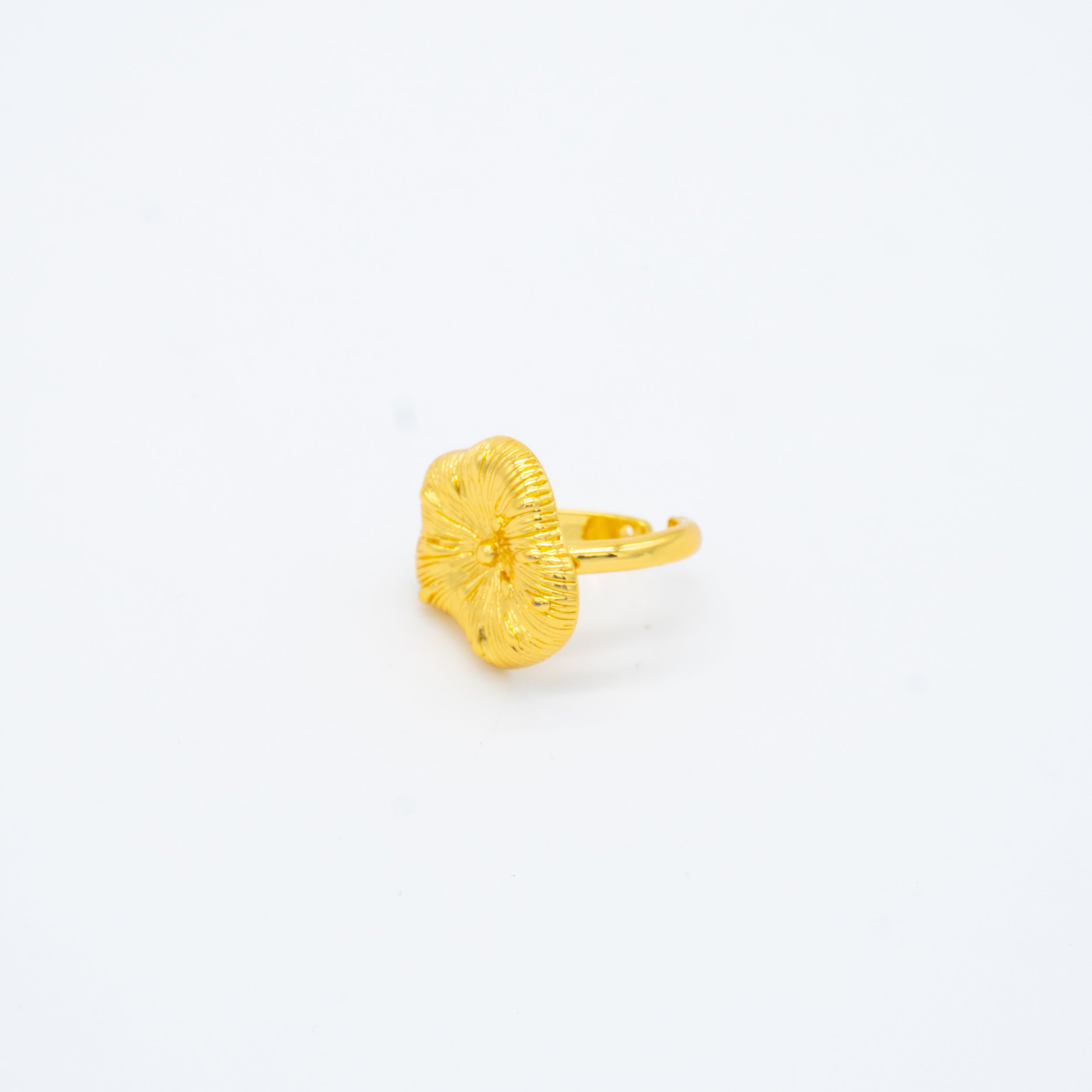 ANILLO