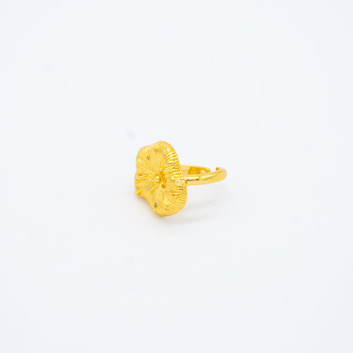 ANILLO