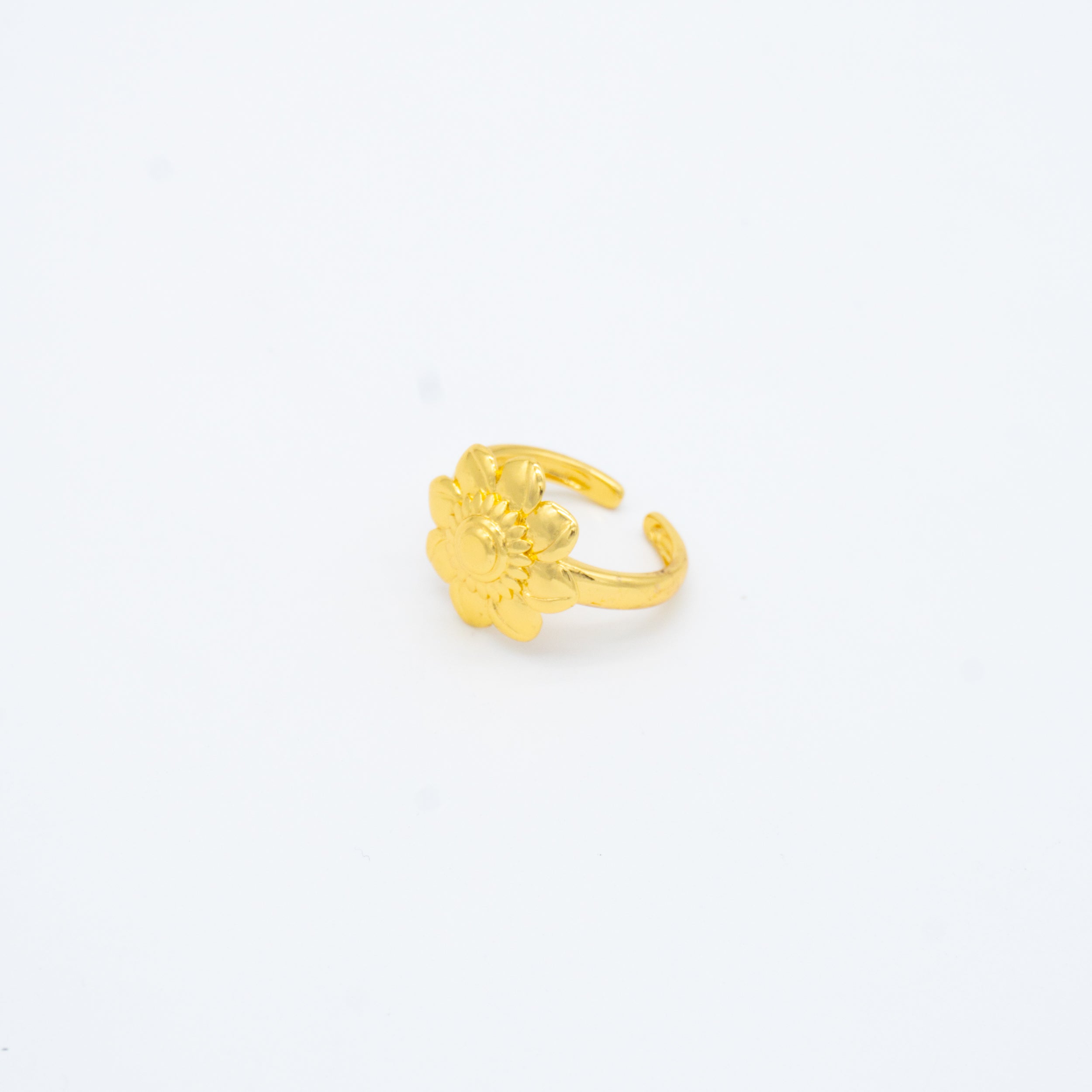 ANILLO