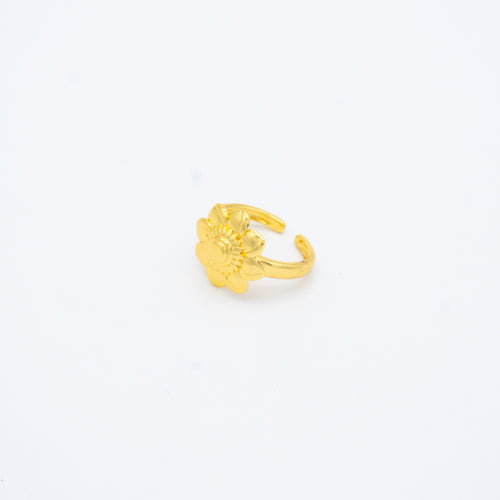 ANILLO