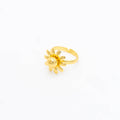 ANILLO