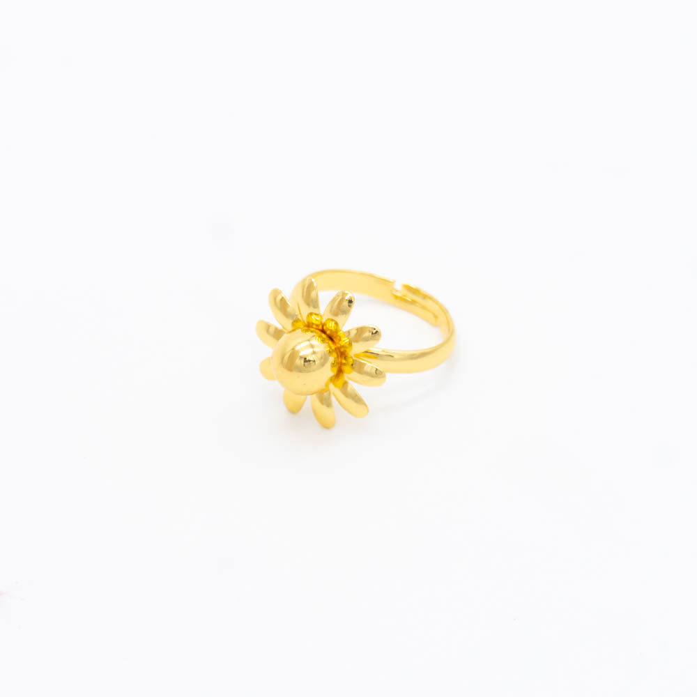 ANILLO