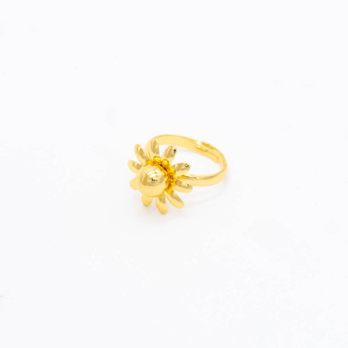 ANILLO