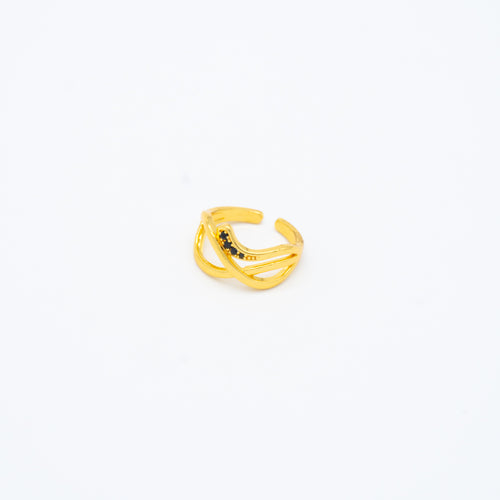 ANILLO