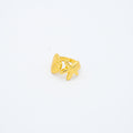 ANILLO
