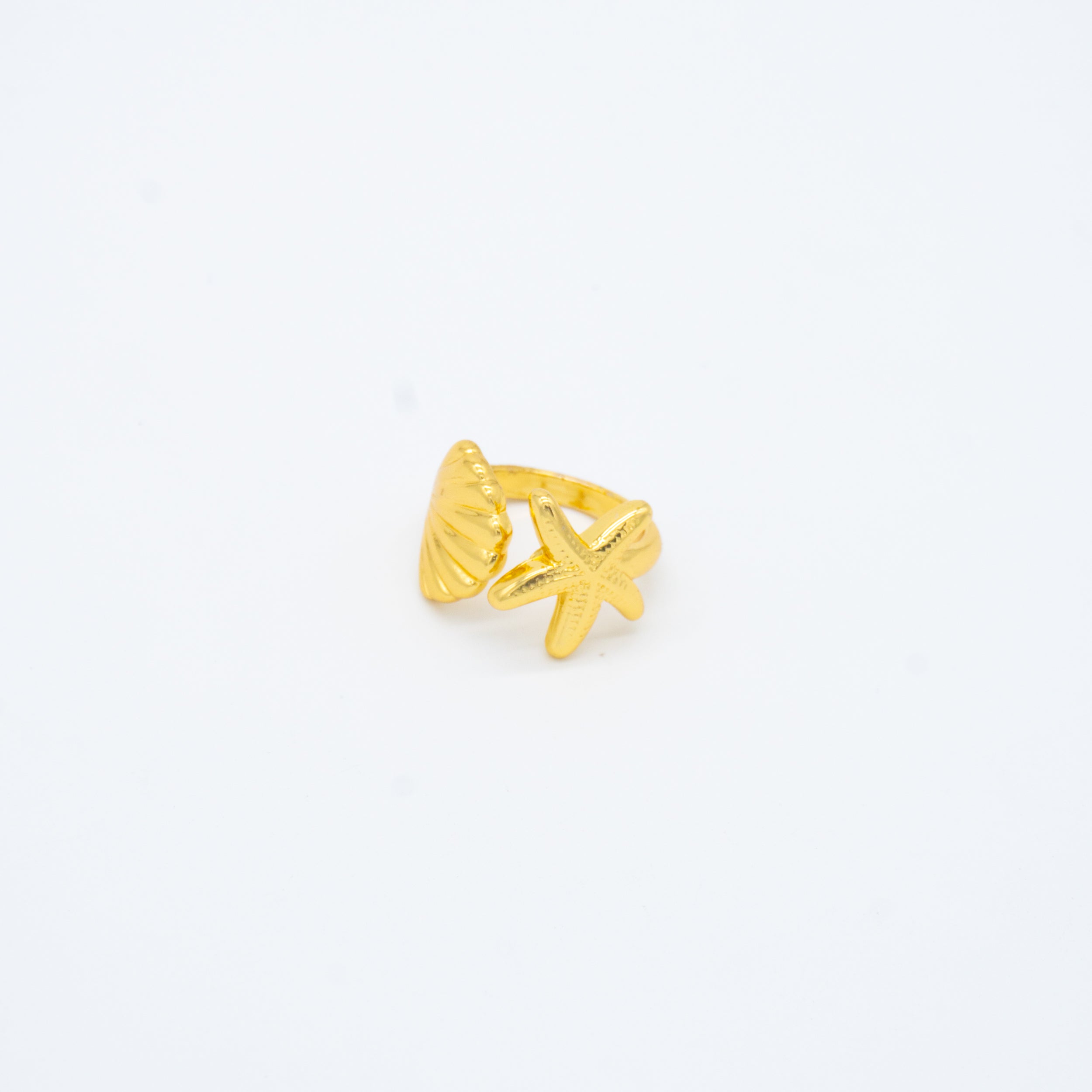 ANILLO