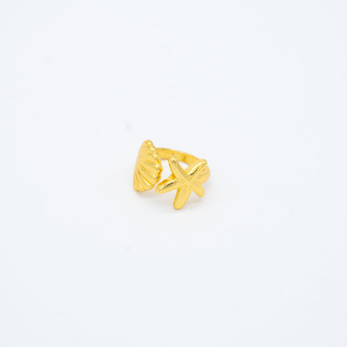 ANILLO
