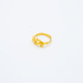 ANILLO