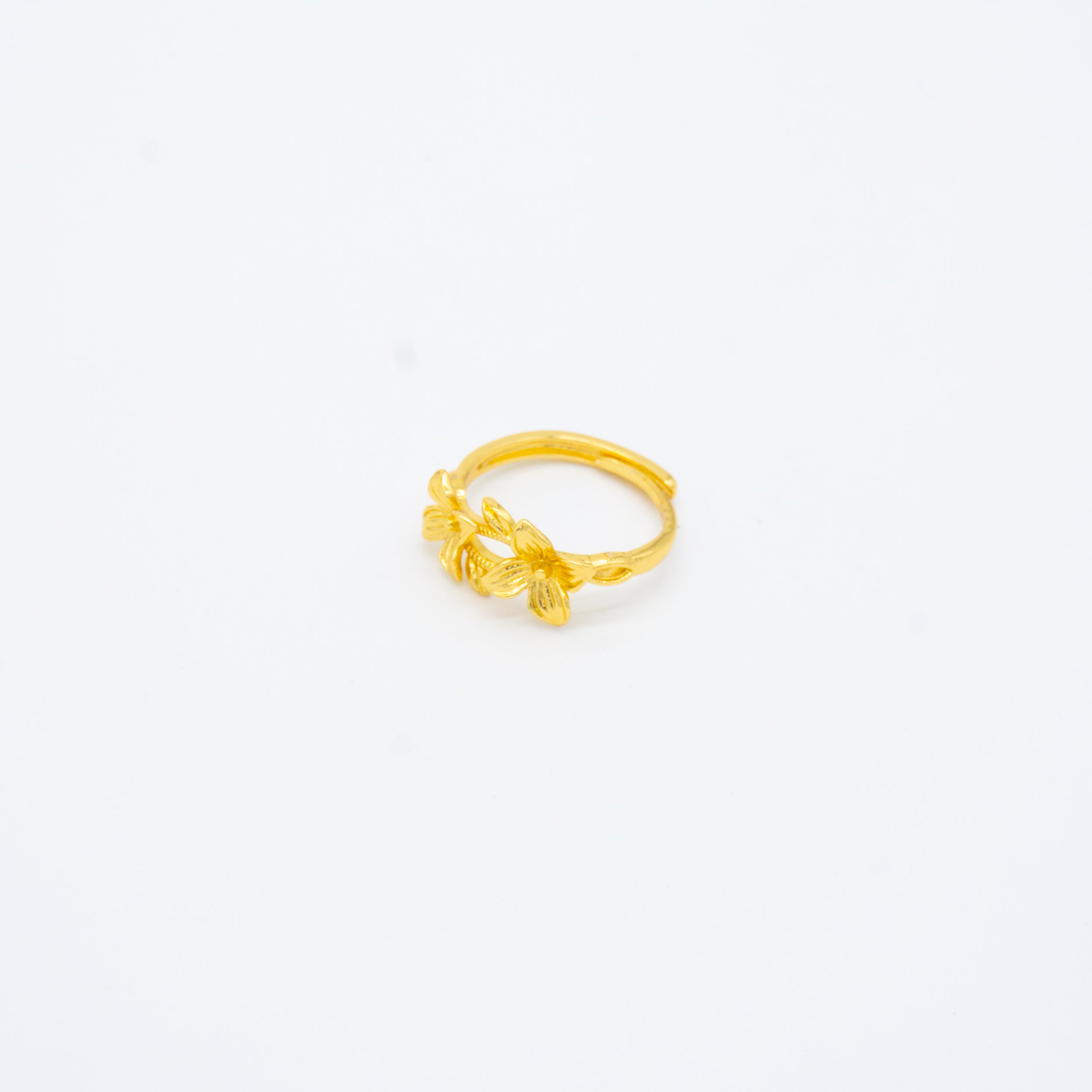 ANILLO