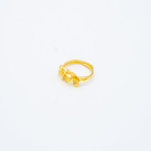 ANILLO