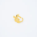 ANILLO