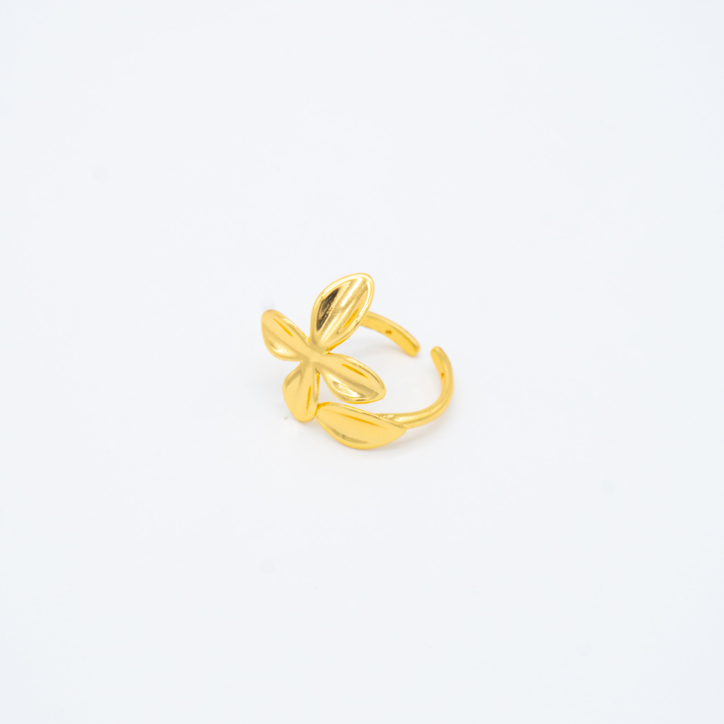 ANILLO