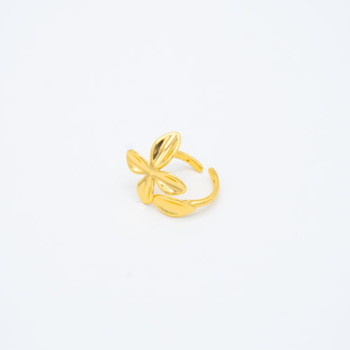 ANILLO