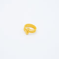 ANILLO
