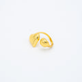 ANILLO