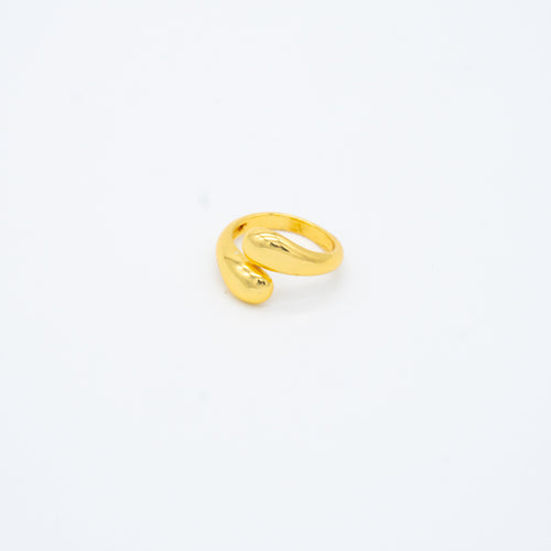 ANILLO