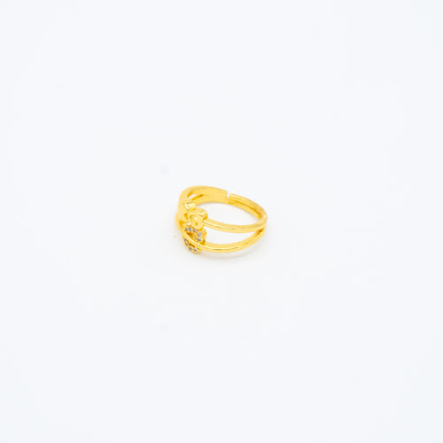 ANILLO