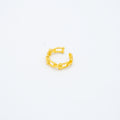 ANILLO